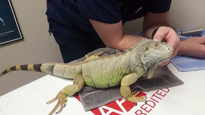 Arbor Ridge Pet Clinic Picture 4