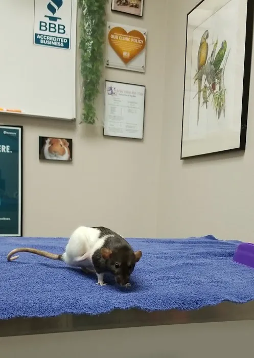 Arbor Ridge Pet Clinic Picture 3