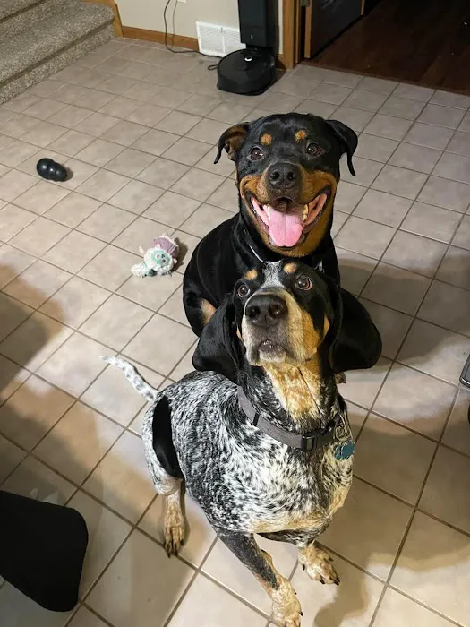 Arbor Ridge Pet Clinic Picture 6