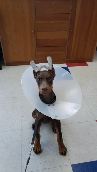 Arbor Ridge Pet Clinic Picture 7