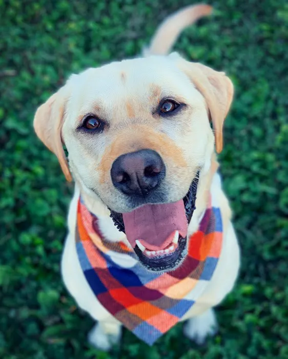 Arbor Ridge Pet Clinic Picture 10