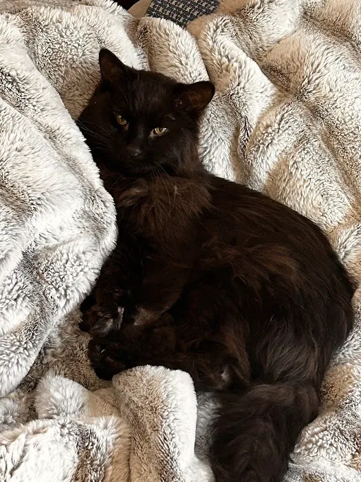 Fitchburg Veterinary Hospital Picture 1