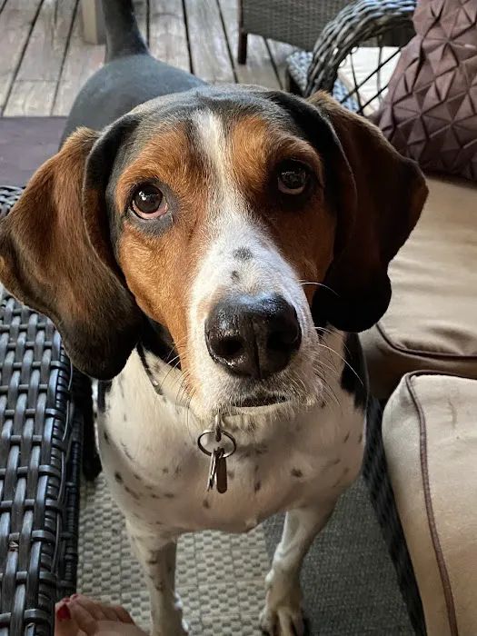 Fitchburg Veterinary Hospital Picture 5