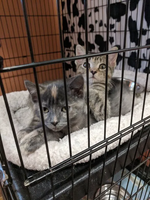 Fitchburg Veterinary Hospital Picture 8