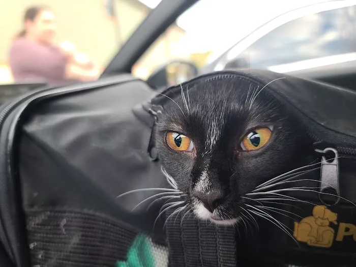 Fitchburg Veterinary Hospital Picture 4