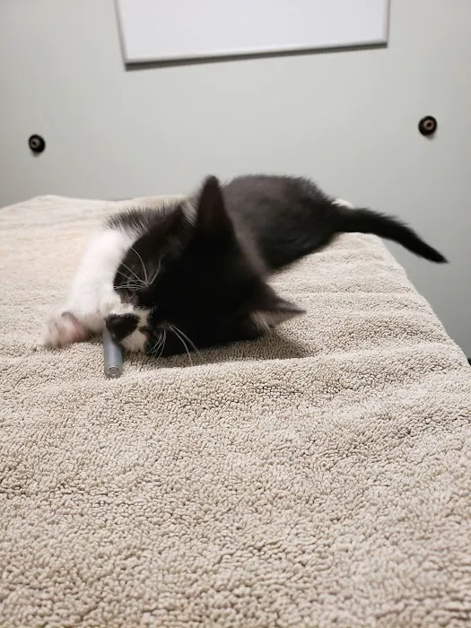 Fitchburg Veterinary Hospital Picture 6