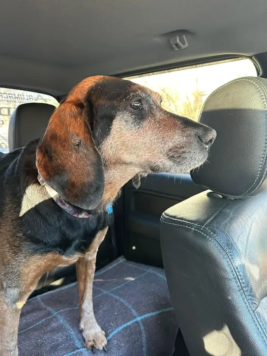 Fitchburg Veterinary Hospital Picture 10