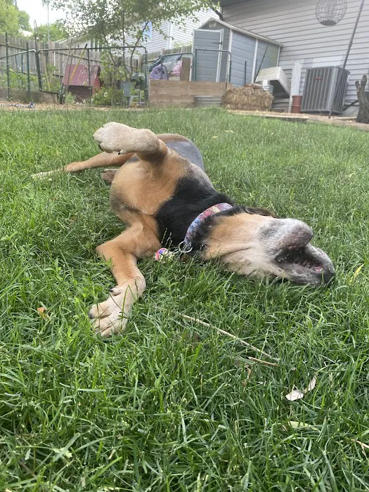 Fitchburg Veterinary Hospital Picture 9