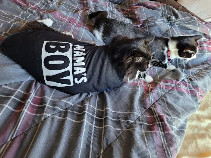 McFarland Animal Hospital Picture 4