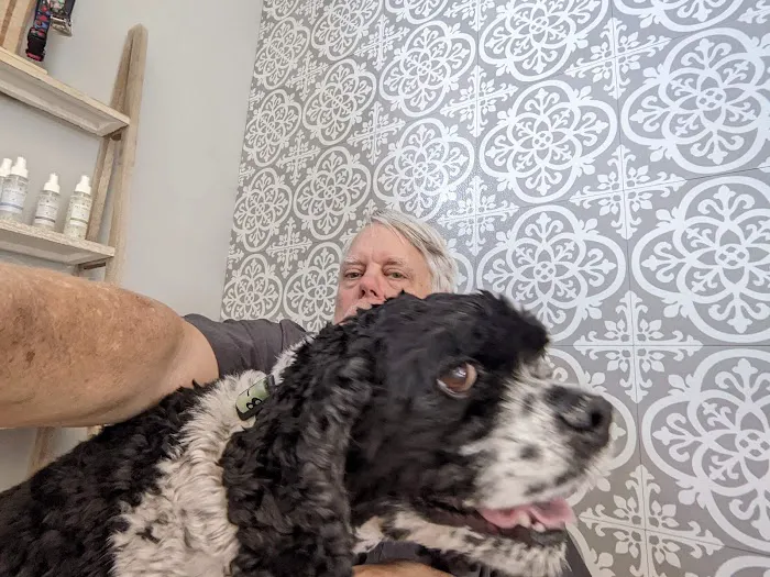 McFarland Animal Hospital Picture 8