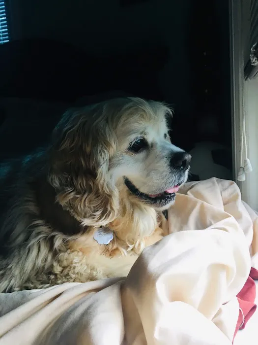 McFarland Animal Hospital Picture 7