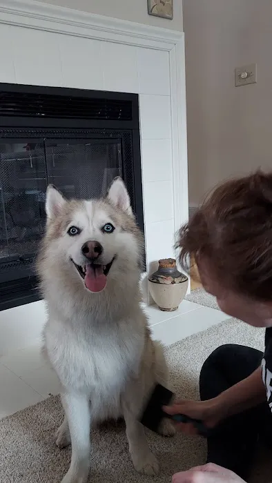 McFarland Animal Hospital Picture 9