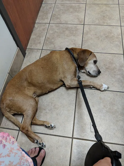 McFarland Animal Hospital Picture 10