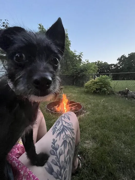 Spartan Animal Hospital Picture 3