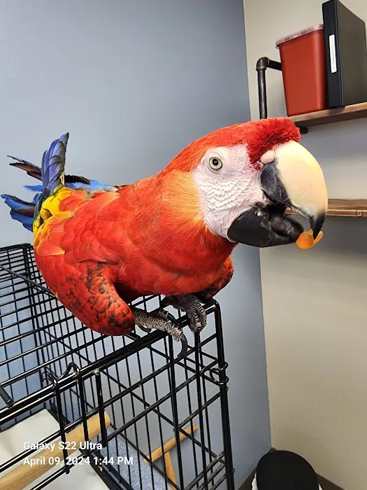 Spartan Animal Hospital Picture 1