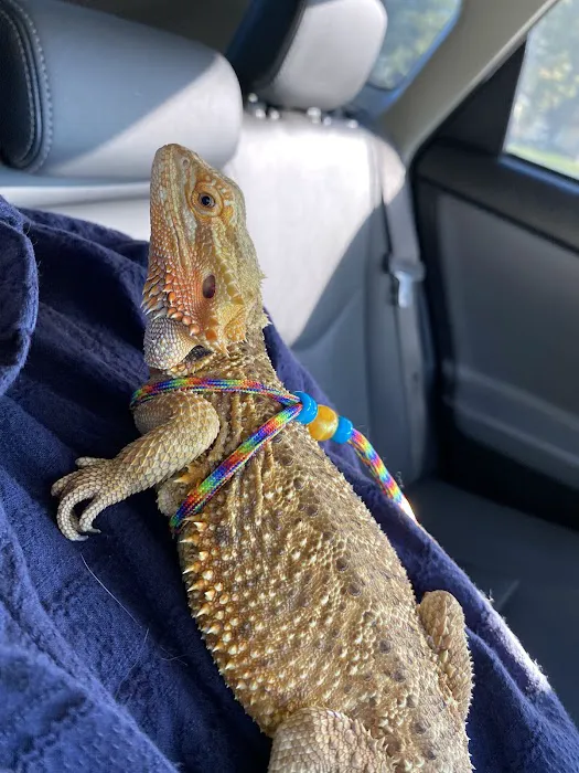 Spartan Animal Hospital Picture 2