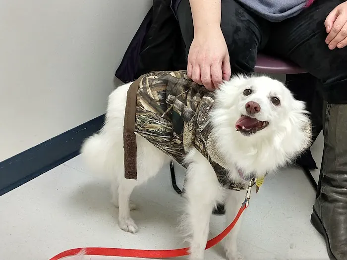 Spartan Animal Hospital Picture 9