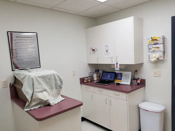 Spartan Animal Hospital Picture 7