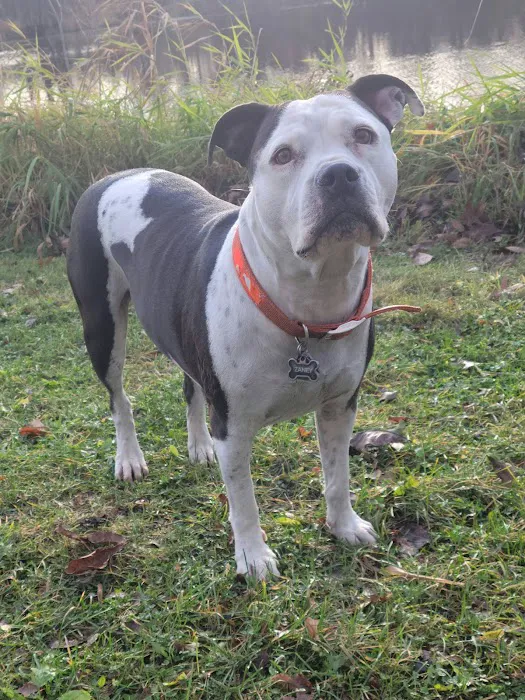 Spartan Animal Hospital Picture 8