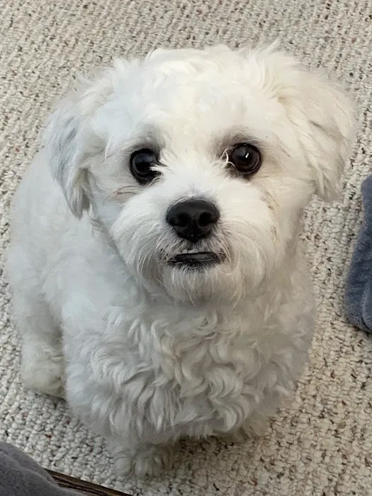 Companion Animal Hospital Picture 3