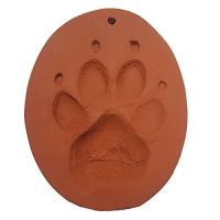 Galaxy Vet Services ico