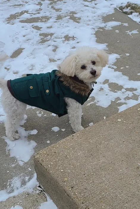 Beltline Animal Hospital Picture 6