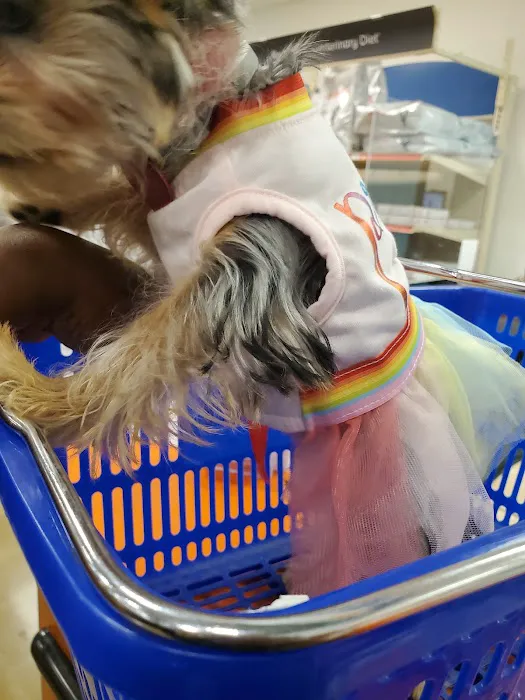 Beltline Animal Hospital Picture 10