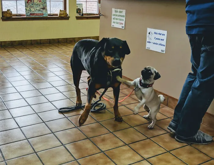 Beltline Animal Hospital Picture 8