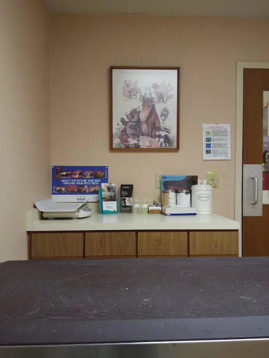 Beltline Animal Hospital Picture 9