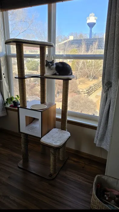 Citywide Pet Clinic Picture 3