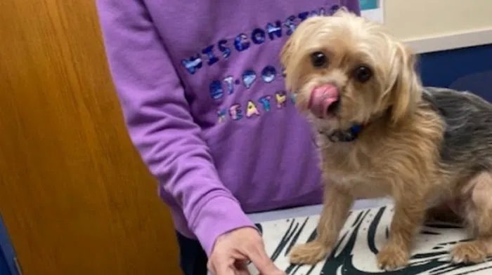 Citywide Pet Clinic Picture 1