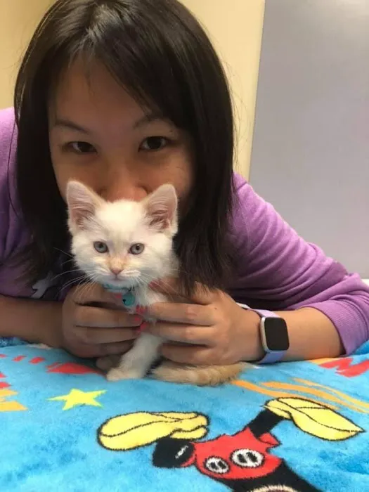 Citywide Pet Clinic Picture 9