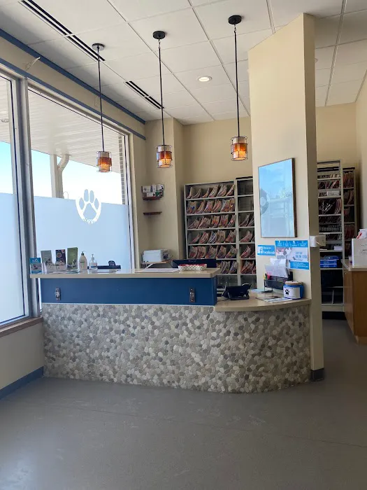 Citywide Pet Clinic Picture 7