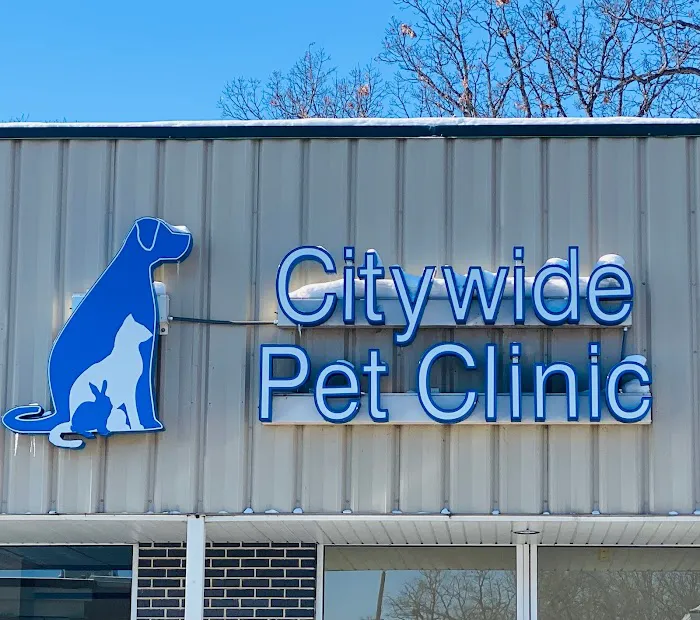 Citywide Pet Clinic Picture 10