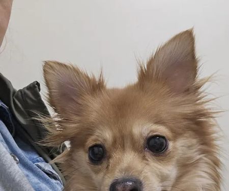 Vetco Total Care Animal Hospital