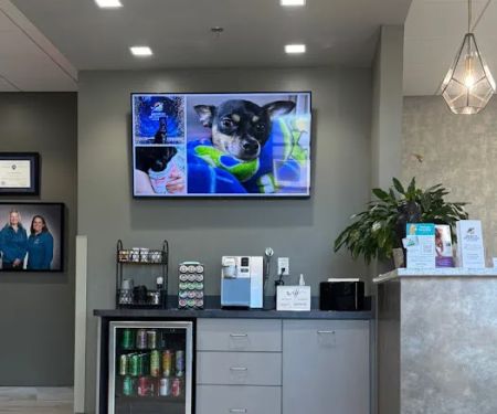 Midwest Veterinary Specialists