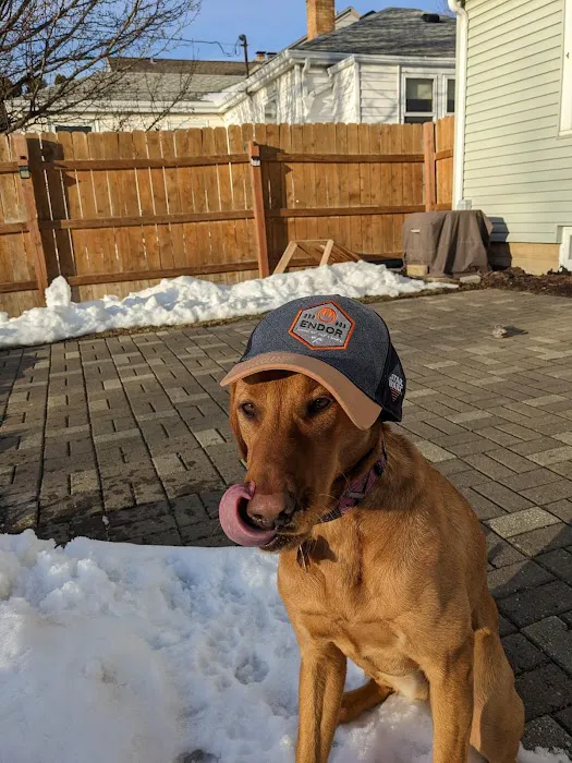 Frontier Veterinary Urgent Care Picture 1