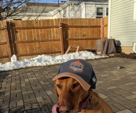 Frontier Veterinary Urgent Care