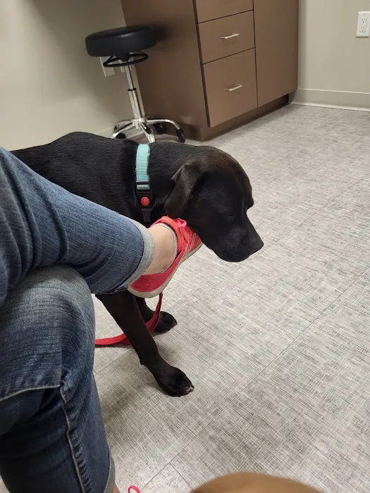 Frontier Veterinary Urgent Care Picture 4