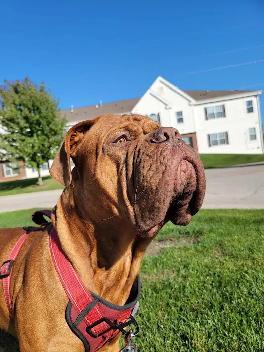 Frontier Veterinary Urgent Care Picture 7