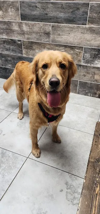 Alta View Veterinary Clinic Picture 2