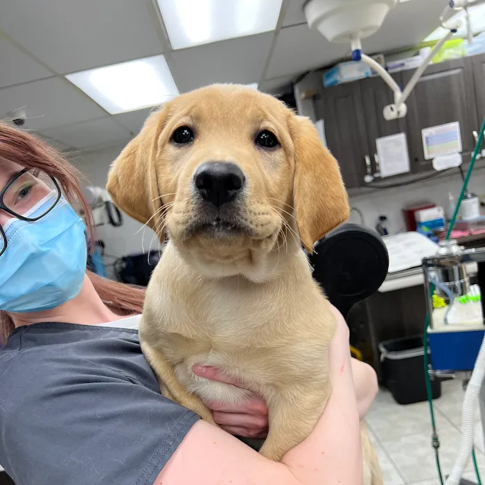 Alta View Veterinary Clinic Picture 4