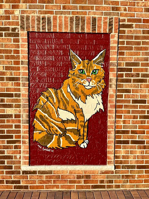 Alta View Veterinary Clinic Picture 5