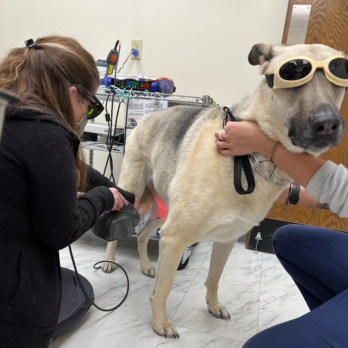 Alta View Veterinary Clinic Picture 6