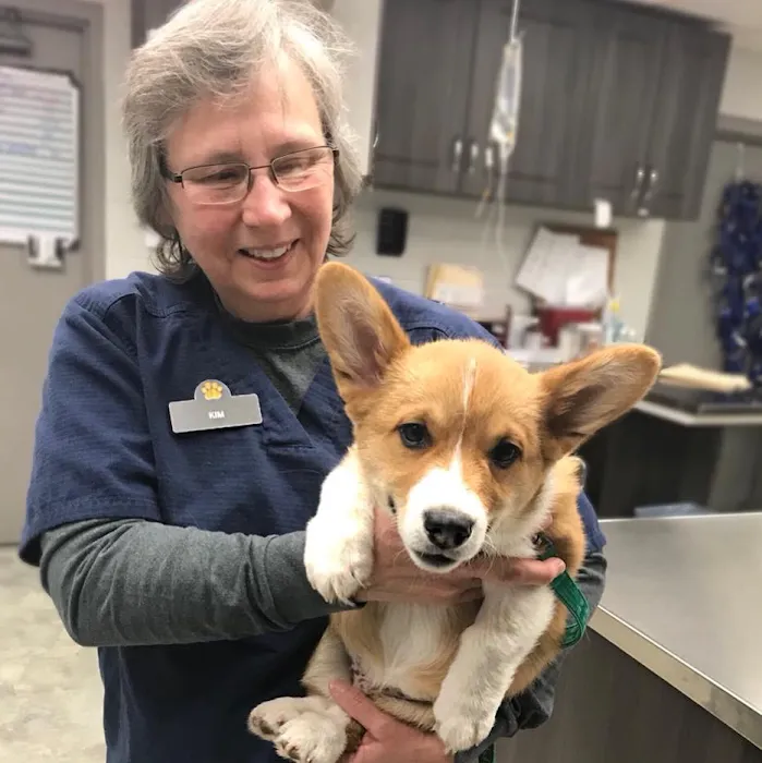 Alta View Veterinary Clinic Picture 7