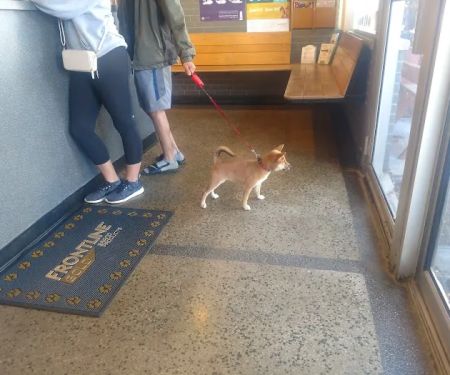 Layton Animal Hospital