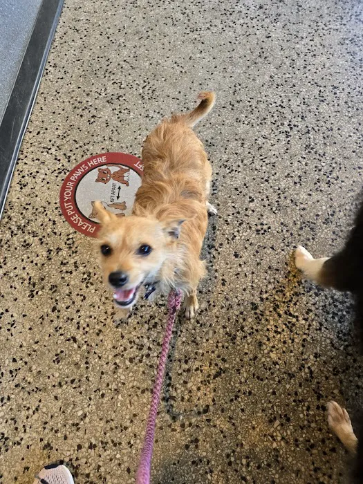 Layton Animal Hospital Picture 2