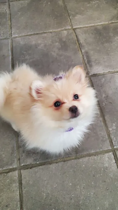 Layton Animal Hospital Picture 7