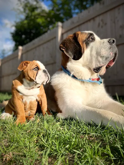 Cudahy Veterinary Clinic Picture 3