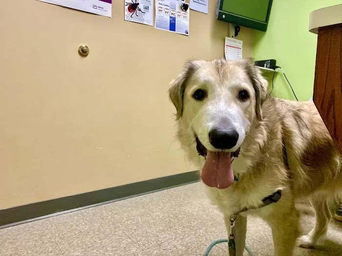 Cudahy Veterinary Clinic Picture 4